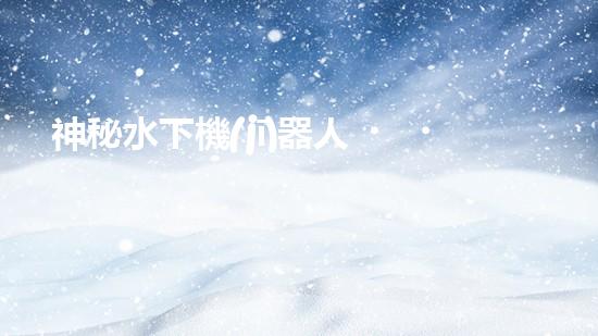 神秘水下機(jī)器人，解密沉淀池的黑暗奧秘！